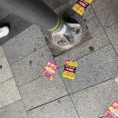 코티에스