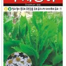 그린종묘농약사 이미지