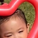 아이비화원 이미지