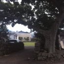 판포리 사무소 이미지