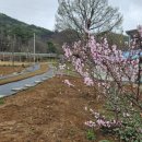 한상태농장 이미지