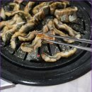 오리랑장어랑
