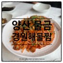 양산물금맛집 경원해물찜 매콤한 해물찜이 맛있는 또간집!