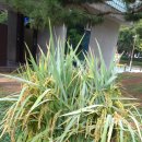 이모네한식부페 이미지