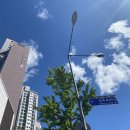 남형목장 | 2022년 6월 1주차 주간 일기