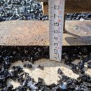 당리초등학교 이미지