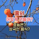 홍시약국 | 대봉감 홍시 만드는 법 | 홍시 효능 | 홍시와 상극인 음식 완벽 정리