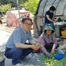 이상열농장 이미지