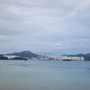 송소횟집