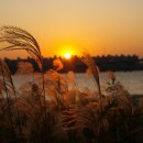 반딧불펜션 이미지