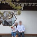안목당 | 안동 숙소 추천 독채 가성비 한옥숙소 안목당 내돈내산, 장단점