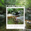 서울 근교 물놀이 1탄 Ⅰ 당일 평상이 11,000원! 집다리골 자연휴양림, 예약부터 계곡·평상 명당·꿀팁...