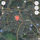 대구 화교협회(大邱 華僑協會) | 글로벌건축6(모문금 건축 근대 화교건물6)