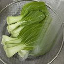 베이비무브코리아(주) | [초기이유식] 청경채 큐브 만들기 / 베이비무브 이유식마스터기 쿡마스터