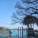 바바라 발리 이미지