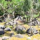 귀석농장 이미지