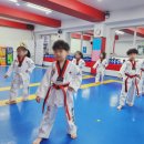 글로벌박사 경희대 태권도장 네이버블로그