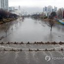 온천천 일대 이미지