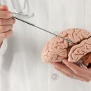 핸드폰으로 치매예방 이미지