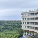 씨클리프호텔제주 | 제주 히든클리프 호텔 솔직 후기｜인피니티풀·객실·부대시설 총정리