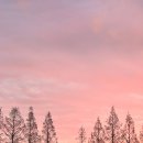 윤성피자 | 공인중개사 실무교육 시흥교육장 후기 및 필수 준비물