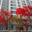 내손중앙로 이미지