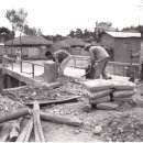 수원-1973 이미지