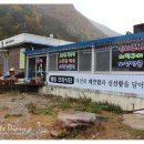 덕항가든 | 산채비빔밥, 환선굴 가는 길 덕항가든