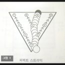 핀스트라이크 이미지