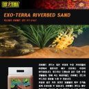 금일슈퍼 이미지