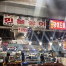 강화도 행복한소풍캠핑장 아이+애견 동반캠핑
