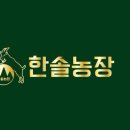 한솔 흑염소 이미지