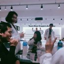 합기도 주짓수 블루드래곤 이미지