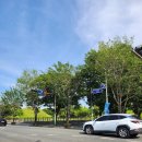 청사초롱민박 | 경주 여행 2탄 황리단길 숙소 추천 청사초롱 민박에서 1박 한 후기 ~ 에어비앤비