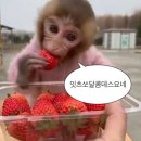 스테이여린 | 26 설연휴 제주 여행 :: 가족들이랑