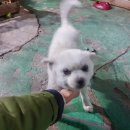 수복강녕 이미지