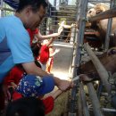 임씨네농장 이미지