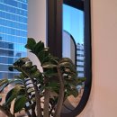 강남아이오케이안과의원 이미지