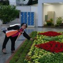 중문올레 이미지