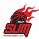 비엔케이 이미지