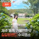 제이목장 | 제주 동쪽 아이와 가볼만한곳 길갈팜랜드 수국명소 목장카페