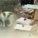 주정차041 이미지