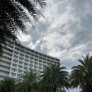 베트남 나트랑 래디슨 블루 리조트 여행 숙소 강력추천! l deluxe oceanview room 리뷰 (헬스장, 수영장...