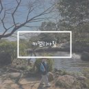 카멜리아 | 제주가볼만한곳 카멜리아힐 후기