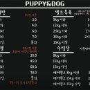 퍼피앤독 네이버블로그