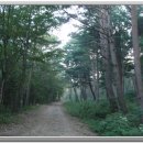 홍점(홍제사입구) 이미지