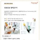 해마루스튜디오