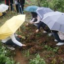 오월농장 이미지