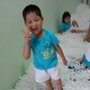 모아꽃방 이미지