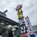 오늘도대게횟집 | 속초 장사항 맛집 스타대게횟집 연예인맛집 모듬회 소짜 후기